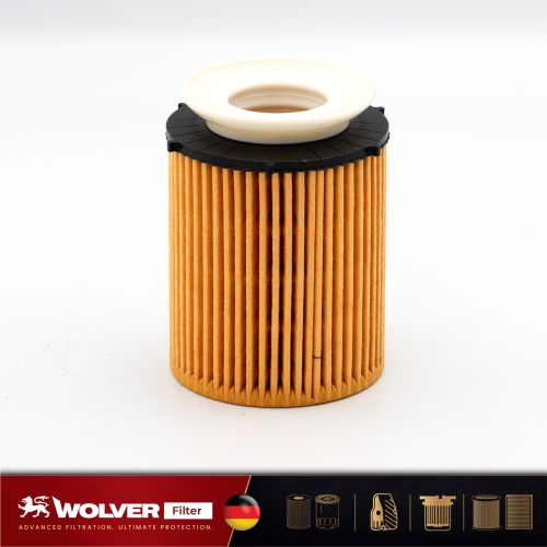 Lọc Nhớt Động Cơ: Wolver WO31007G